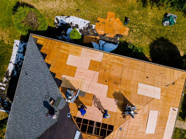 Best Residential Roofing Contractor  in University, MS